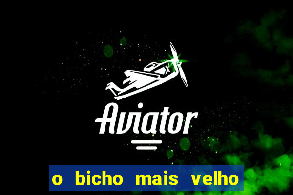 o bicho mais velho da loteria dos sonhos